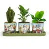Certified International Garden Gnomes 3-pc. Planter Set With Tray